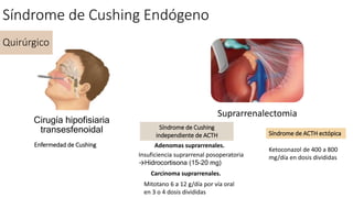 Suprarrenalectomia
Enfermedad de Cushing
Síndrome de Cushing
independiente de ACTH Síndrome de ACTH ectópica
Adenomas suprarrenales.
Cirugía hipofisiaria
transesfenoidal
Mitotano 6 a 12 g/día por vía oral
en 3 o 4 dosis divididas
Carcinoma suprarrenales.
Ketoconazol de 400 a 800
mg/día en dosis divididasInsuficiencia suprarrenal posoperatoria
→Hidrocortisona (15-20 mg)
Quirúrgico
Síndrome de Cushing Endógeno
 