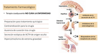 Tratamiento Farmacológico
• Terapia coadyuvante NO CURA LA ENFERMEDAD
Preparación para tratamiento quirúrgico
Contraindicación para la cirugía
Ausencia de curación tras cirugía
Secreción ectópica de ACTH de origen oculto
Hipercortisolismo de extrema gravedad
Bloqueadores de los
receptores de cortisol
Inhibidores de la
esteroidogénesis
Inhibición de la
secreción de ACTH
 