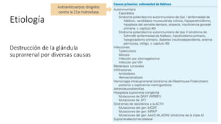 Etiología
Destrucción de la glándula
suprarrenal por diversas causas
Autoanticuerpos dirigidos
contra la 21α-hidroxilasa
 
