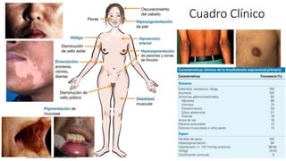 Cuadro Clínico
 