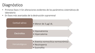 Diagnóstico
• Menor de 3 µg/ dLCortisol sérico
• Hiponatremia
• HipercalemiaElectrolitos
• Anemia normocítica normocrómica
• Neutropenia
• Eosinofilia
Hematológicos
• Primeras fases→ Sin alteraciones evidentes de los parámetros sistemáticos de
laboratorio
• En fases más avanzadas de la destrucción suprarrenal
 