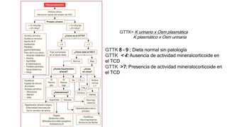 GTTK= K urinario x Osm plasmática
K plasmático x Osm urinaria
GTTK 8 – 9 : Dieta normal sin patología
GTTK < 4: Ausencia de actividad mineralcorticoide en
el TCD
GTTK >7: Presencia de actividad mineralocorticoide en
el TCD
 