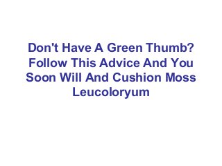 Don't Have A Green Thumb?
Follow This Advice And You
Soon Will And Cushion Moss
       Leucoloryum
 