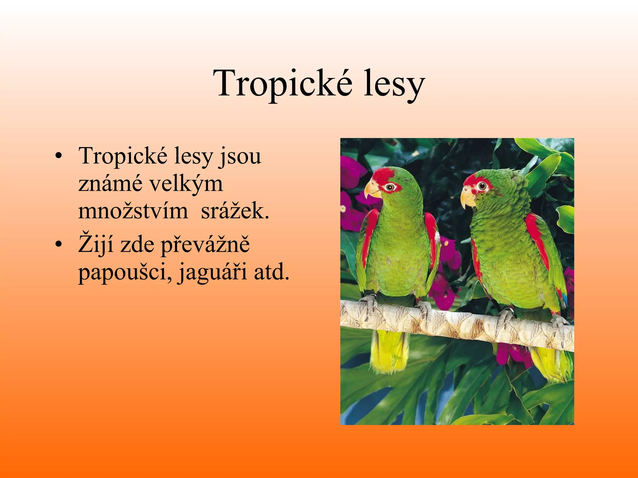 Tropické lesy Tropické lesy jsou známé velkým množstvím  srážek. Žijí zde převážně papoušci, jaguáři atd. 