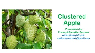 Clustered
Apple
Presentation by
Primary Information Services
www.primaryinfo.com
mailto:primaryinfo@gmail.com
 