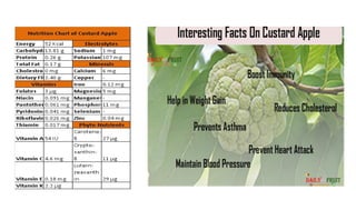 Custard apple | PDF