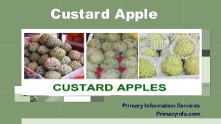 Custard Apple
Primary Information Services
Primaryinfo.com
 