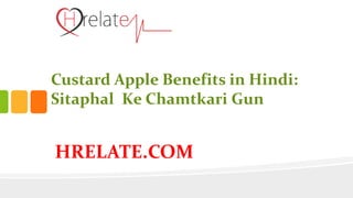 HRELATE.COM
Custard Apple Benefits in Hindi:
Sitaphal Ke Chamtkari Gun
 