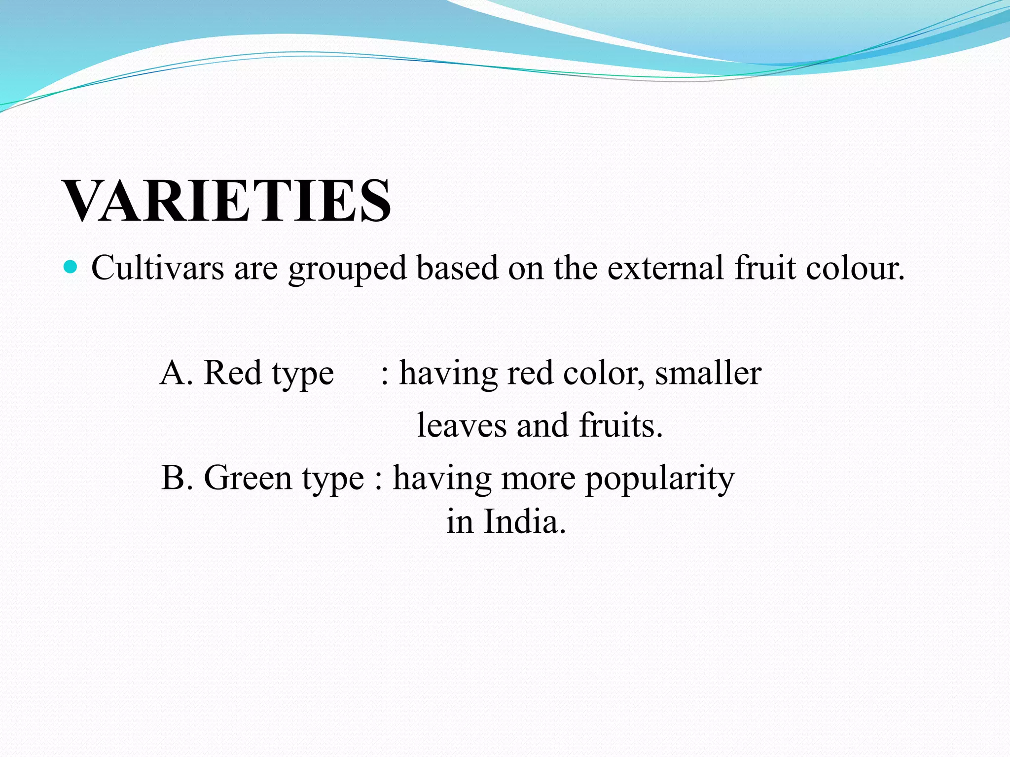 VARIETIES
 Cultivars are grouped based on the external fruit colour.
A. Red type : having red color, smaller
leaves and fruits.
B. Green type : having more popularity
in India.
 