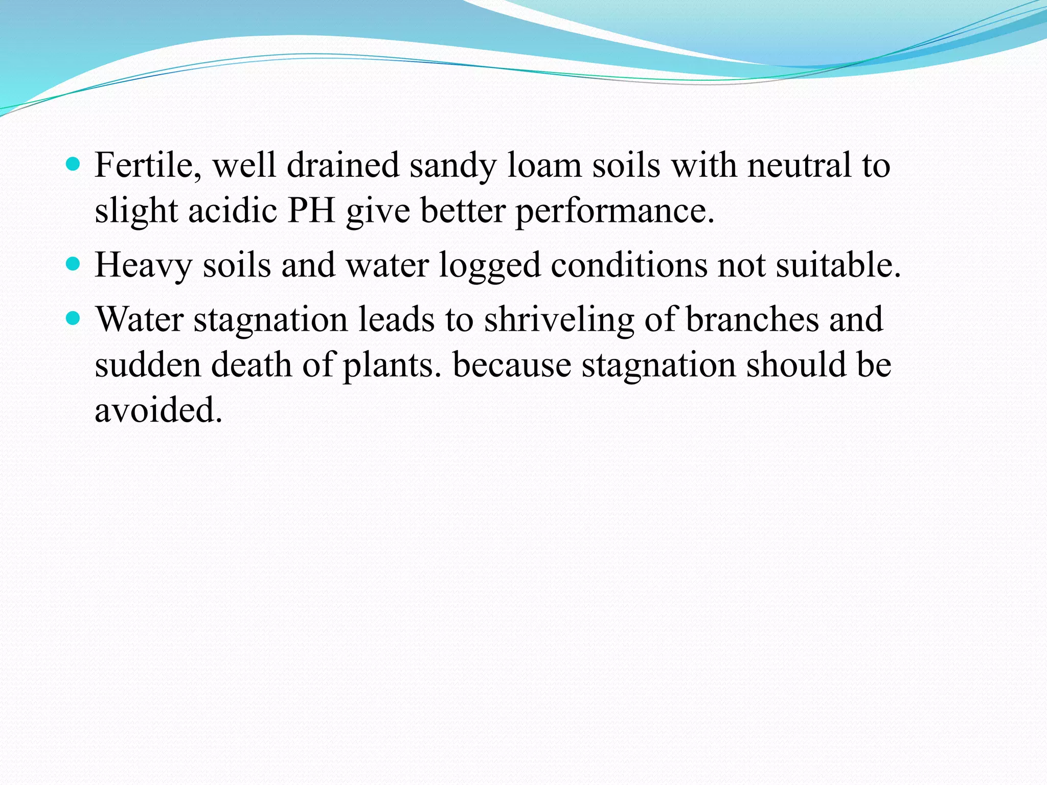  Fertile, well drained sandy loam soils with neutral to
slight acidic PH give better performance.
 Heavy soils and water logged conditions not suitable.
 Water stagnation leads to shriveling of branches and
sudden death of plants. because stagnation should be
avoided.
 