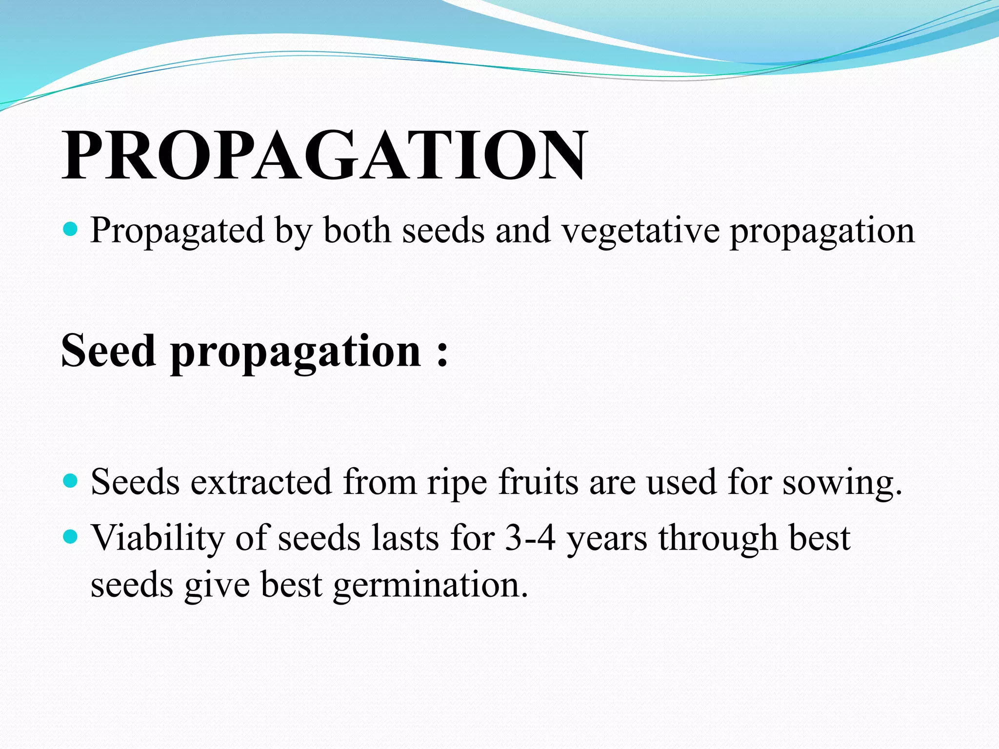 PROPAGATION
 Propagated by both seeds and vegetative propagation
Seed propagation :
 Seeds extracted from ripe fruits are used for sowing.
 Viability of seeds lasts for 3-4 years through best
seeds give best germination.
 