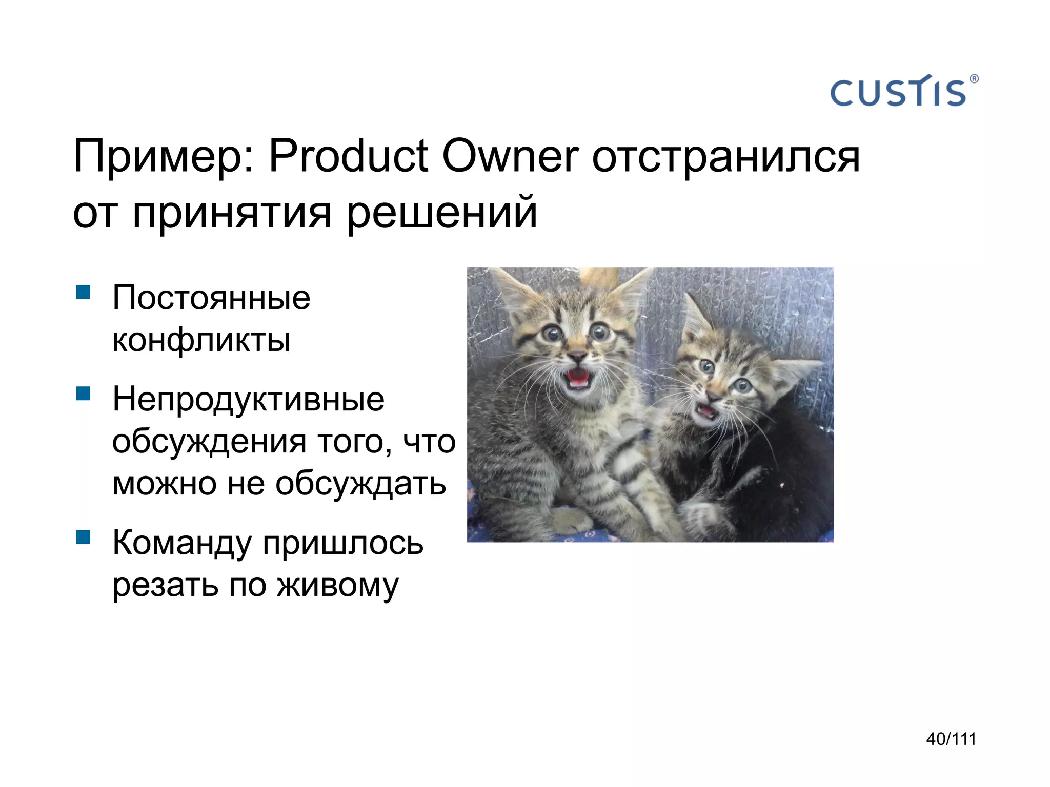 Пример: Product Owner отстранился
от принятия решений



Постоянные
конфликты



Непродуктивные
обсуждения того, что
можно не обсуждать



Команду пришлось
резать по живому

40/111

 