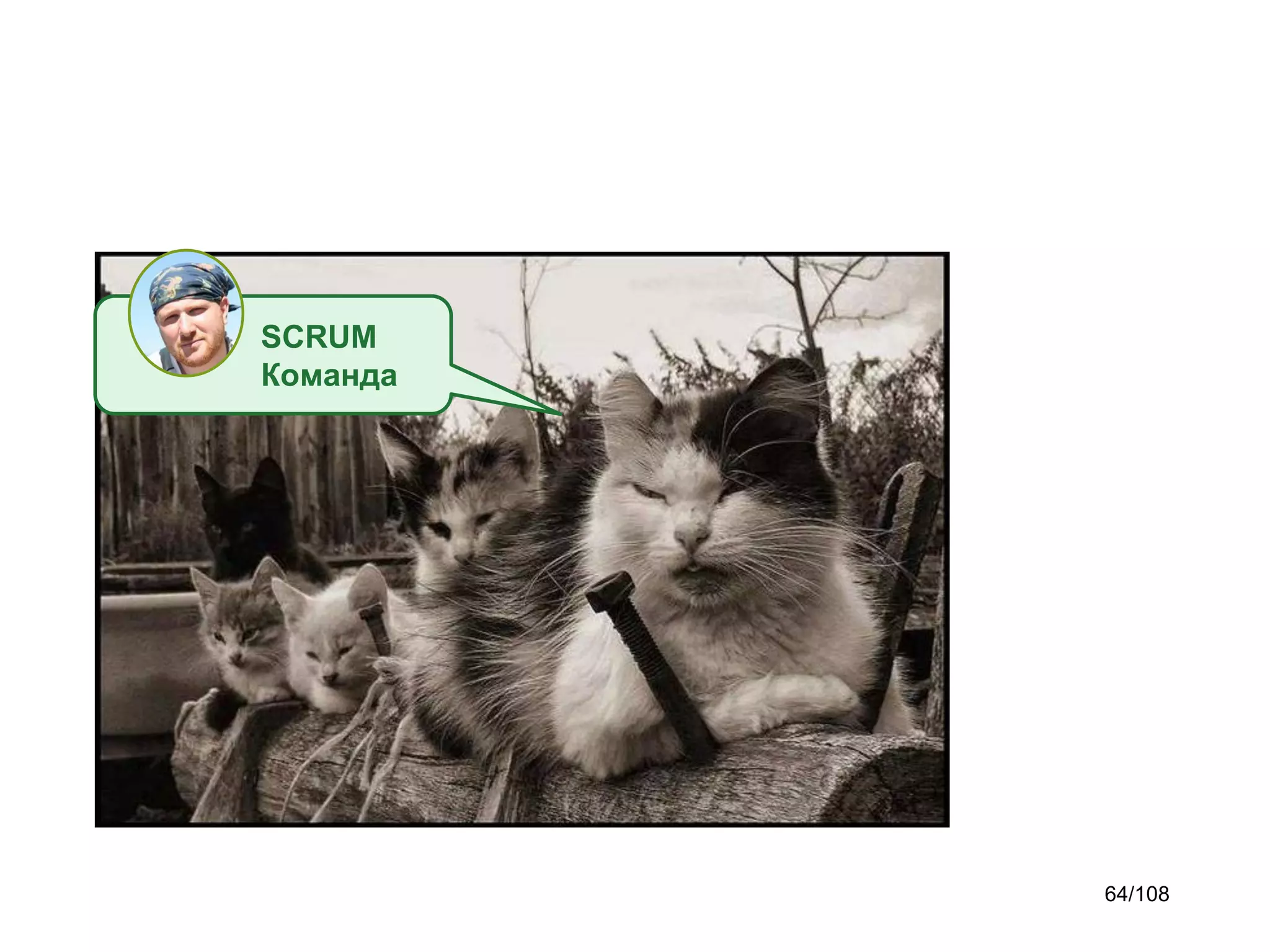 SCRUM
Команда

64/108

 