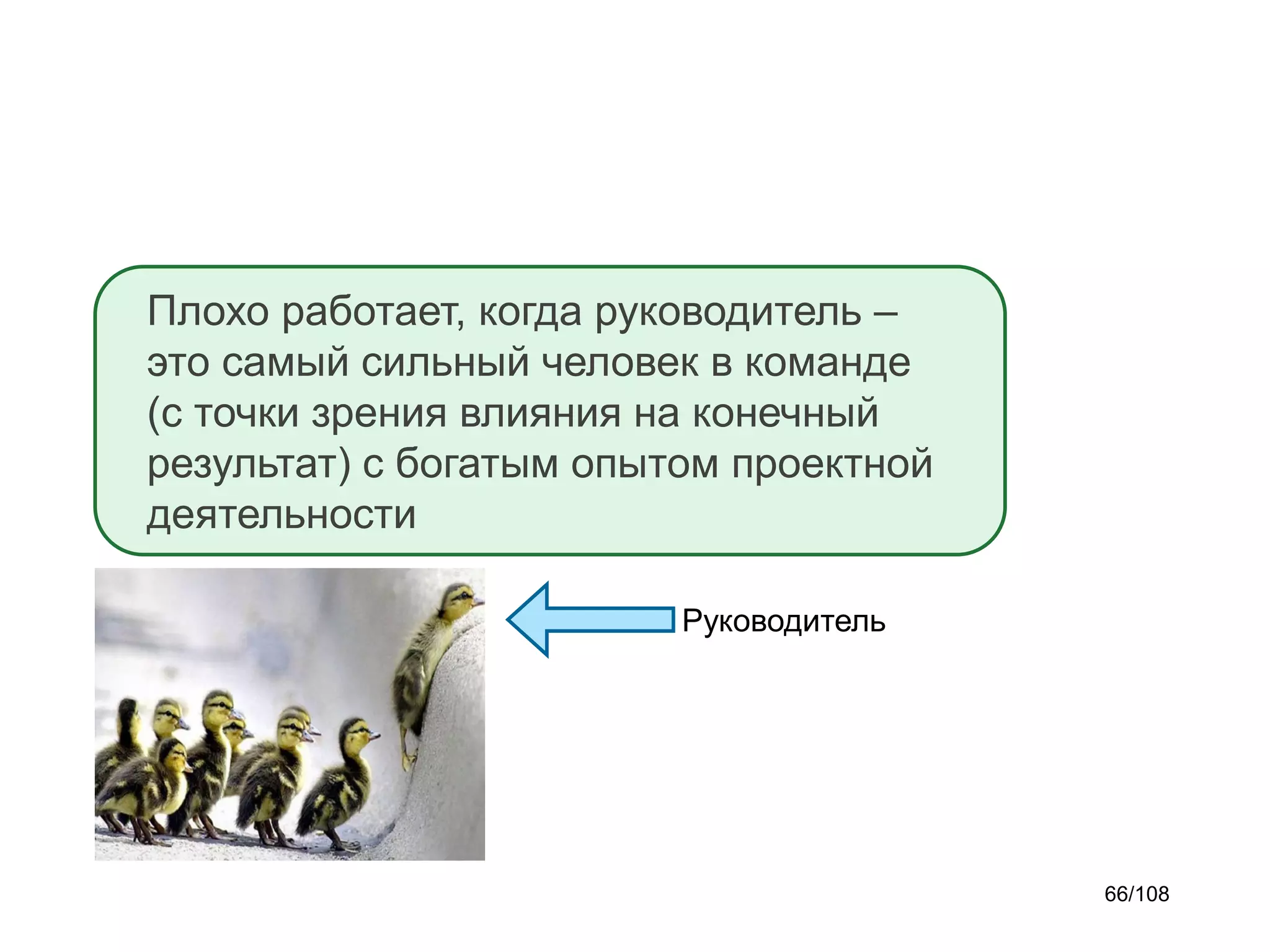 Плохо работает, когда руководитель –
это самый сильный человек в команде
(с точки зрения влияния на конечный
результат) с богатым опытом проектной
деятельности
Руководитель

66/108

 