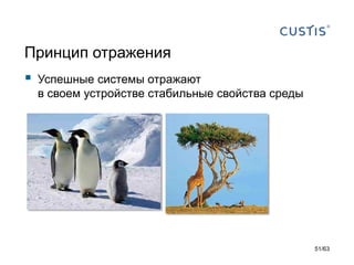Принцип отражения 
Успешные системы отражают в своем устройстве стабильные свойства среды 
51/63 
 