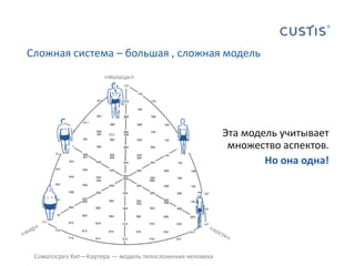 Сложная система – большая , сложная модель«мышцы»Эта модель учитывает множество аспектов.Но она одна!«жир»«кости»Соматосрез Хит—Картера— модель телосложения человека