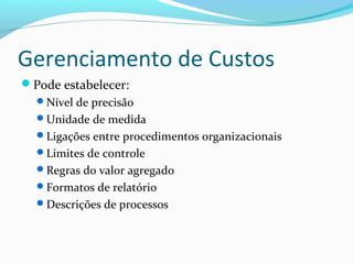 Gerenciamento de Custos
Pode estabelecer:
Nível de precisão
Unidade de medida
Ligações entre procedimentos organizacionais
Limites de controle
Regras do valor agregado
Formatos de relatório
Descrições de processos
 