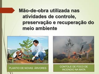 Mão-de-obra utilizada nas
atividades de controle,
preservação e recuperação do
meio ambiente
PLANTIO DE NOVAS ÁRVORES
CONTOLE DE FOCO DE
INCENDIO NA MATA
 