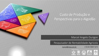 Custo de Produção Algodão Grupo UTIDA.pdf