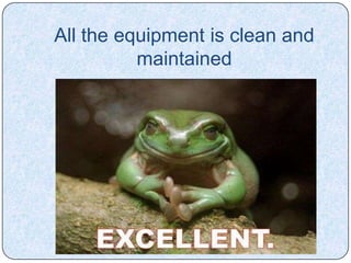 All the equipment is clean and
          maintained
 