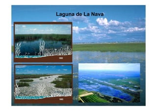 Laguna de La Nava
 