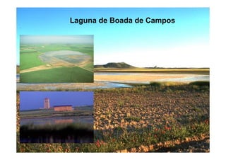Laguna de Boada de Campos
 