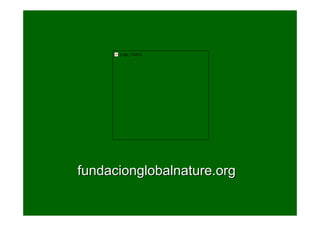 Logo_FGN 3




fundacionglobalnature.org
 