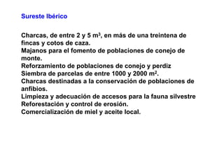 Sureste Ibérico

Charcas, de entre 2 y 5 m3, en más de una treintena de
fincas y cotos de caza.
Majanos para el fomento de poblaciones de conejo de
monte.
Reforzamiento de poblaciones de conejo y perdiz
Siembra de parcelas de entre 1000 y 2000 m2.
Charcas destinadas a la conservación de poblaciones de
anfibios.
Limpieza y adecuación de accesos para la fauna silvestre
Reforestación y control de erosión.
Comercialización de miel y aceite local.
 