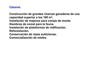 Cáceres

Construcción de grandes charcas ganaderas de una
capacidad superior a los 100 m3.
Instalación de majanos para conejo de monte.
Siembras de cereal para la fauna.
Instalación de plataformas de nidificación.
Reforestación.
Conservación de razas autóctonas.
Comercialización de mieles.
 