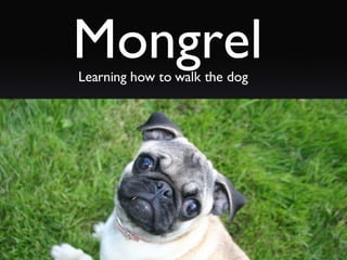 Mongrel Learning how to walk the dog 