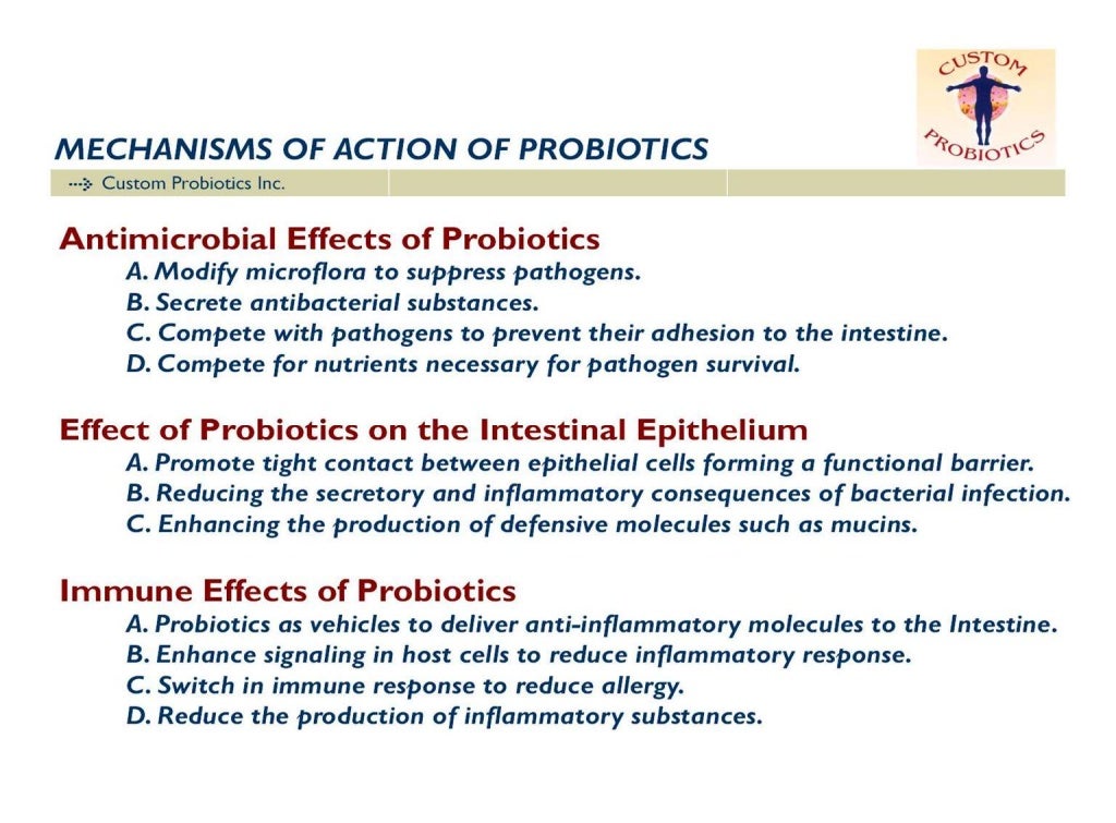Custom Probiotics Intestinal Microflora Probiotics And Human Health