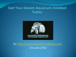 By http://www.Aquatic-Interiors.com
            210.444.2782
 