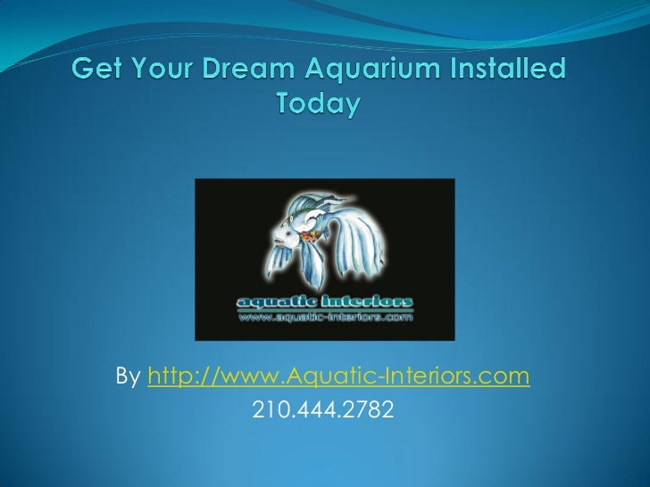 Get Your Very Own Custom Aquariums San Antonio Today