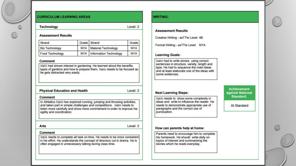 Custom Caregiver Report Primary Schools