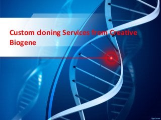 Custom cloning Services from Creative
Biogene
 