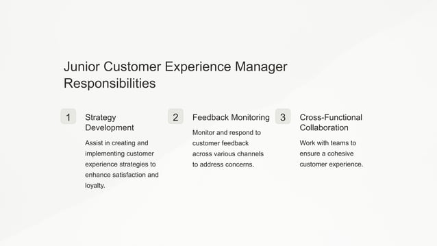 Customer Experience Manager Job Description Template PPT customer-experience-manager-job-description-template-ppt