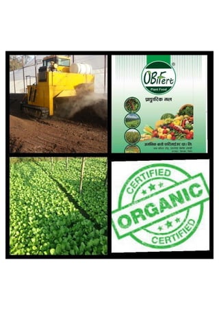 Customer feedback of Organic Fertilizer Plant