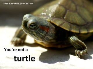 You’re not a  turtle Time is valuable, don’t be slow 