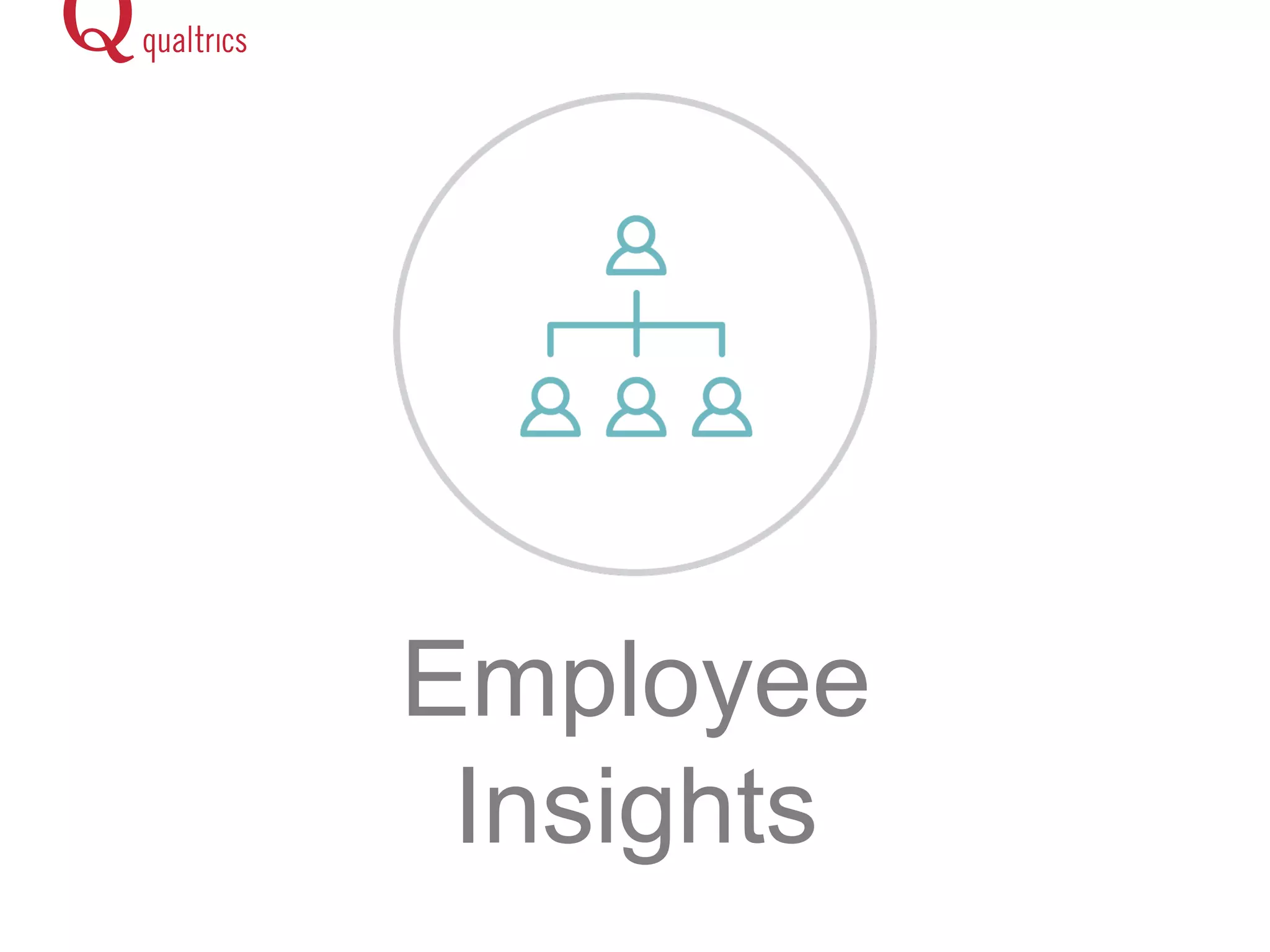 Employee 
Insights 
 