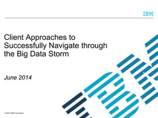© 2014 IBM Corporation
Client Approaches to
Successfully Navigate through
the Big Data Storm
June 2014
 