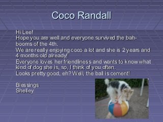 Coco Randall
Hi Lee!
Hope you are well and everyone survived the bah-
booms of the 4th.
We are really enjoying coco a lot and she is 2 years and
4 months old already!
Everyone loves her friendliness and wants to know what
kind of dog she is, so, I think of you often.
Looks pretty good, eh? Well, the ball is cement!

Blessings
Shelley
 