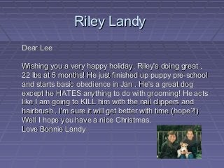 Riley Landy
Dear Lee

Wishing you a very happy holiday. Riley's doing great ,
22 lbs at 5 months! He just finished up puppy pre-school
and starts basic obedience in Jan . He's a great dog
except he HATES anything to do with grooming! He acts
like I am going to KILL him with the nail clippers and
hairbrush . I'm sure it will get better with time (hope?!)
Well I hope you have a nice Christmas.
Love Bonnie Landy
 