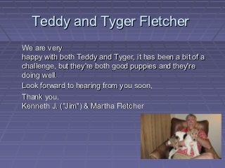 Teddy and Tyger Fletcher
We are very
happy with both Teddy and Tyger, it has been a bit of a
challenge, but they're both good puppies and they're
doing well.
Look forward to hearing from you soon,
Thank you.
Kenneth J. ("Jim") & Martha Fletcher
 