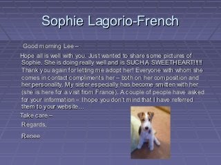 Sophie Lagorio-French
 Good morning Lee –
Hope all is well with you. Just wanted to share some pictures of
Sophie. She is doing really well and is SUCH A SWEETHEART!!!!!
Thank you again for letting me adopt her! Everyone with whom she
comes in contact compliments her – both on her composition and
her personality. My sister especially has become smitten with her
(she is here for a visit from France). A couple of people have asked
for your information – I hope you don’t mind that I have referred
them to your website…
Take care –
Regards,
Renee
 