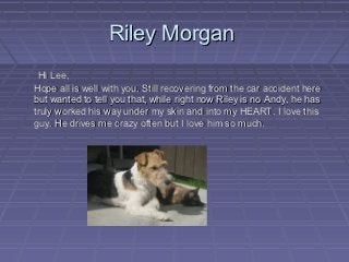 Riley Morgan
 Hi Lee,
Hope all is well with you. Still recovering from the car accident here
but wanted to tell you that, while right now Riley is no Andy, he has
truly worked his way under my skin and into my HEART. I love this
guy. He drives me crazy often but I love him so much.
 