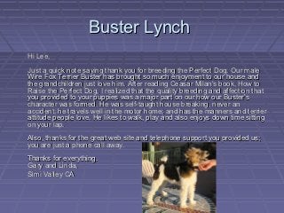 Buster Lynch
Hi Lee,
Just a quick note saying thank you for breeding the Perfect Dog. Our male
Wire Fox Terrier Buster has brought so much enjoyment to our house and
the grandchildren just love him. After reading Ceasar Milan's book, How to
Raise the Perfect Dog, I realized that the quality breeding and affection that
you provided to your puppies was a major part on our how our Buster's
character was formed. He was self-taught house breaking, never an
accident; he travels well in the motor home; and has the manners and terrier
attitude people love. He likes to walk, play and also enjoys down time sitting
on your lap.
Also, thanks for the great web site and telephone support you provided us;
you are just a phone call away.
Thanks for everything.
Gary and Linda,
Simi Valley CA
 
