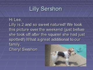 Lilly Sershon
Hi Lee,
Lilly is 2 and so sweet natured! We took
this picture over the weekend (just before
she took off after the squirrel she had just
spotted!) What a great additional to our
family.
Cheryl Sershon
 
