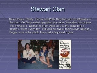 Stewart Clan
This is Petey, Paddy , Penny and Polly They live with the Stewarts in
Southern CA They ended up getting one m...
