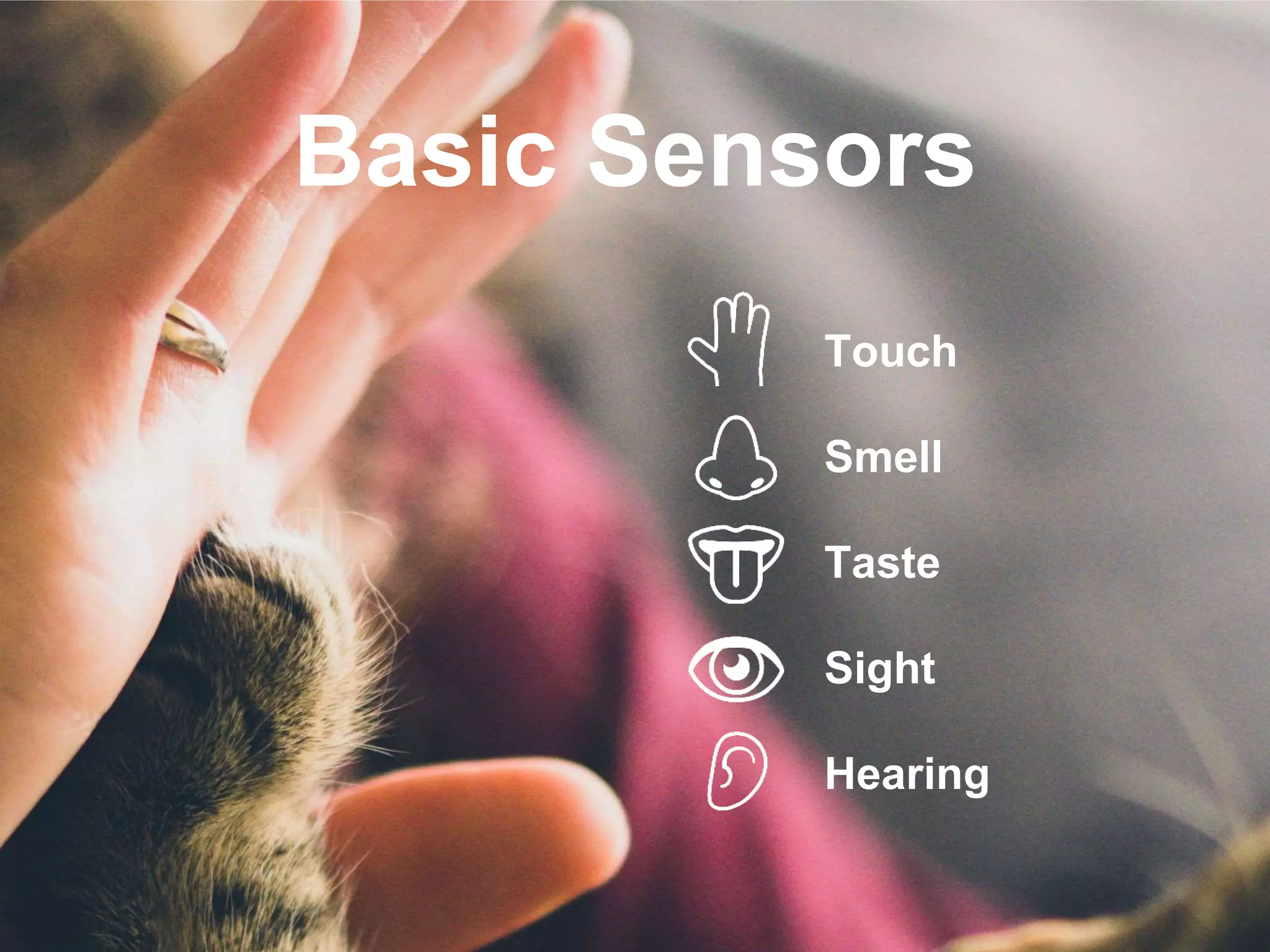 @ccossio
Basic Sensors
Touch
Smell
Taste
Sight
Hearing
 
