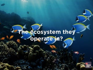 The ecosystem they
operate in?
 